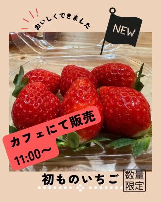 まるなかファーム株式会社 | 商品紹介